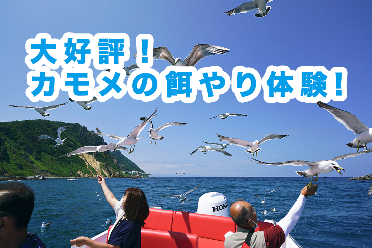 かもめの餌やり